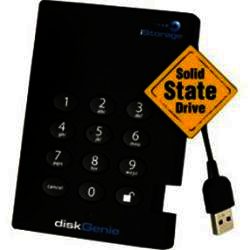 istorage 256GB diskGenie 256-bit SSD USB 2.0 Encrypted HDD